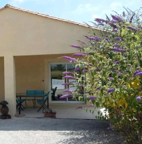 Maison 3 Etoiles Avec Piscine Et Jacuzzi Exterieur Pres De Sarlat Saint-Vincent-le-Paluel Eksteriør bilde
